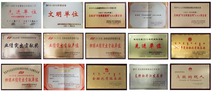 东北再担保主要荣誉一览